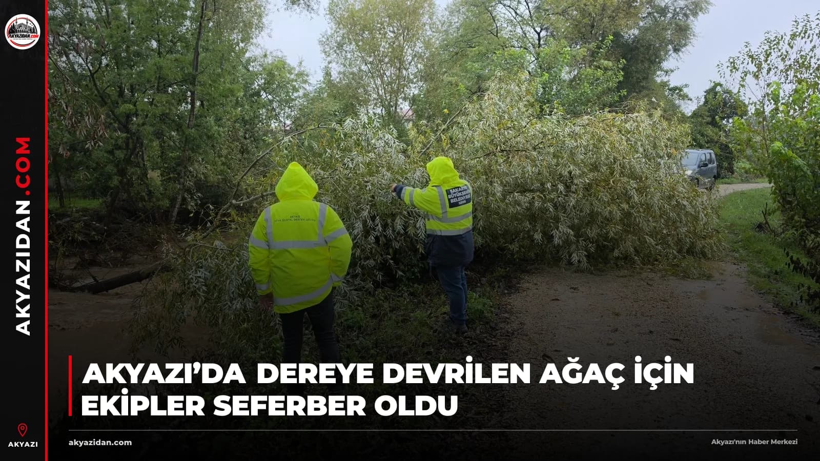 Akyazı’da Dereye Devrilen Ağaç İçin Ekipler Seferber Oldu